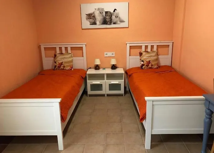 Semesterbostad Tranquil House Perfect For Vacations Platja d'Aro